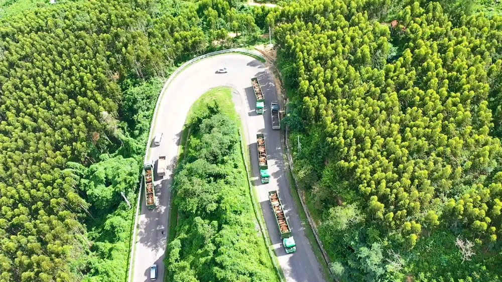 Logistics trọn gói cho nông nghiệp - Thilogi góp phần mang nông sản Việt ra thế giới ảnh 3