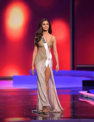 Người đẹp Mexico đăng quang Hoa hậu Hoàn vũ 2020 ảnh 13