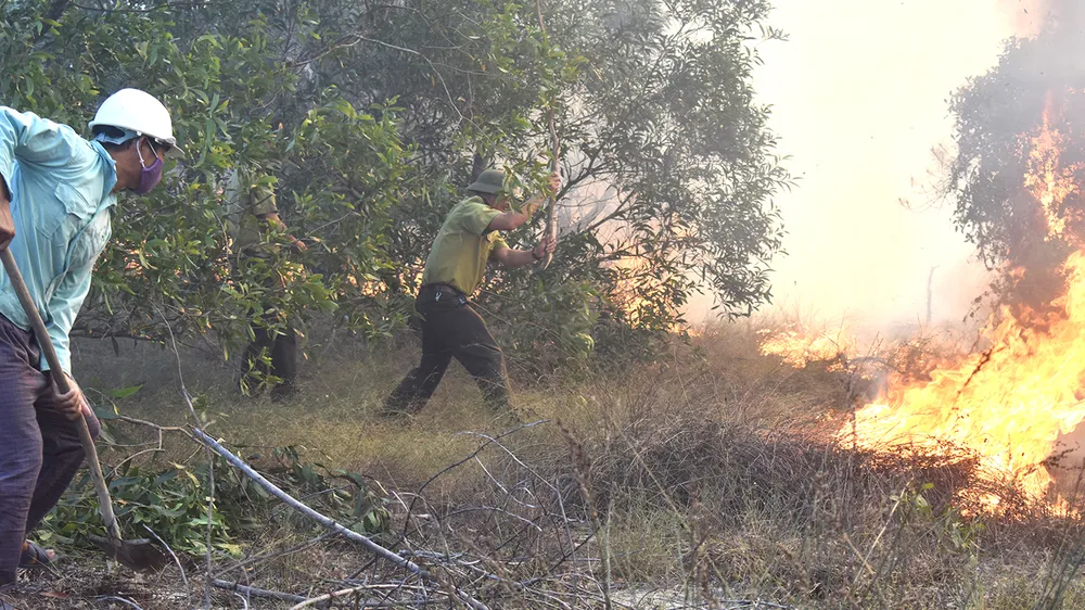 Lực lượng kiểm lâm và ban cấp bách PCCC rừng ở Quảng Bình dập lửa một vụ cháy rừng ven biển trong năm 2021. Ảnh: MINH PHONG