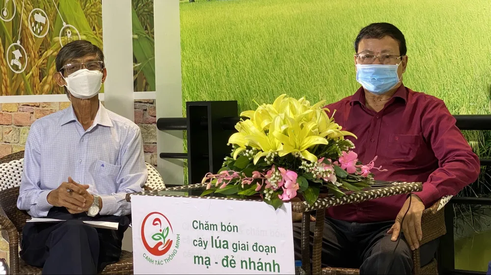 Tư vấn trực tuyến để chuyển giao kỹ thuật canh tác cho nông dân trồng lúa vùng ĐBSCL ảnh 1