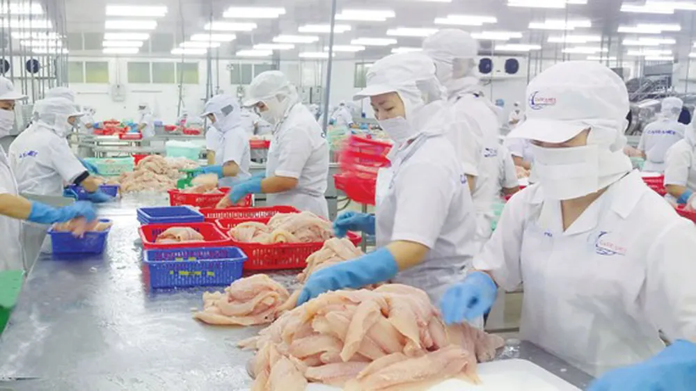 Cà Mau: Phấn đấu xuất khẩu thủy sản đạt 1,65 tỷ USD