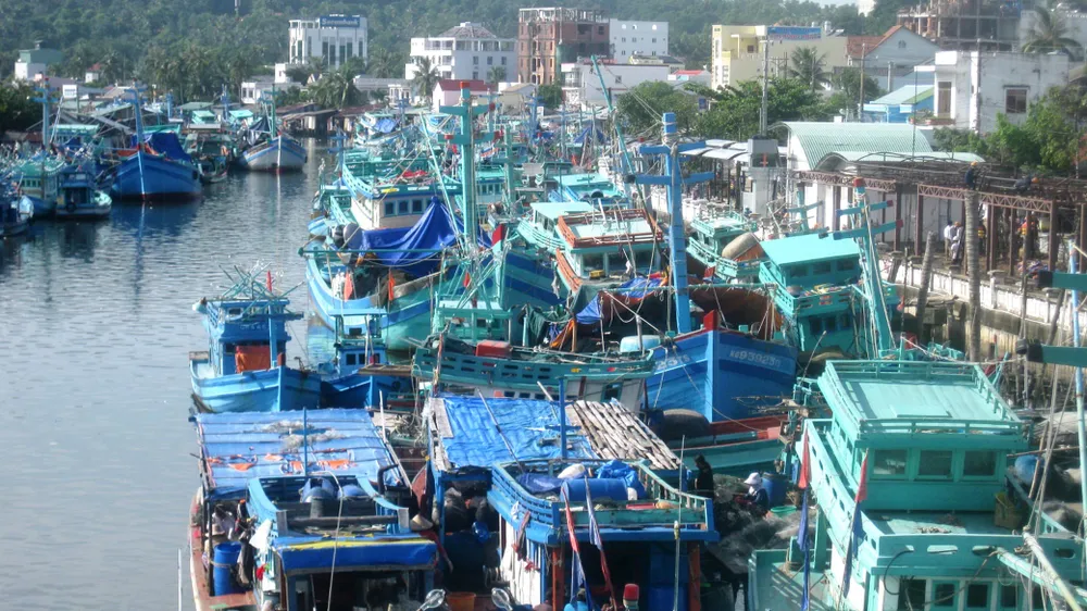 Một đội tàu đánh bắt hải sản ở tỉnh Kiên Giang