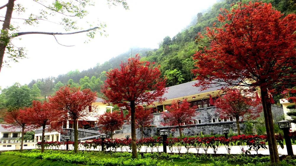 Saigontourist Group và Vietnam Airlines chính thức mở bán combo “Du xuân rước lộc” ưu đãi đặc biệt ảnh 4