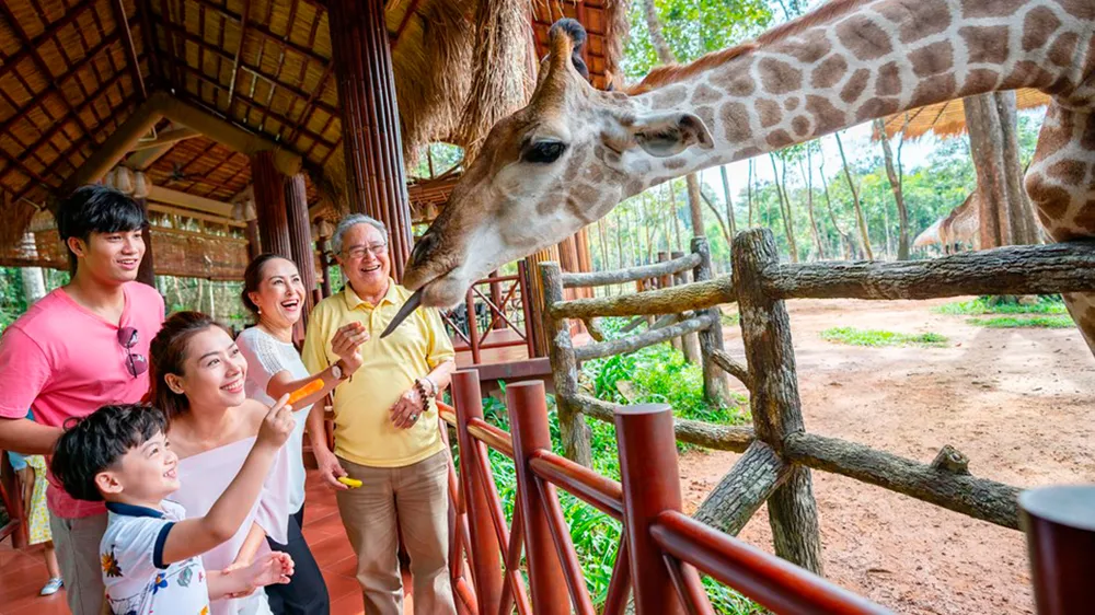 Du Xuân biển đảo Kiên Giang ảnh 1