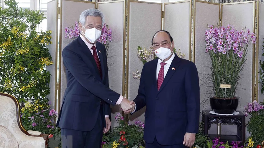 Chủ tịch nước Nguyễn Xuân Phúc hội kiến Tổng thống Singapore ảnh 4