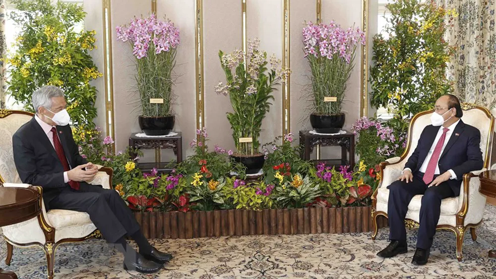 Chủ tịch nước Nguyễn Xuân Phúc hội kiến Tổng thống Singapore ảnh 5