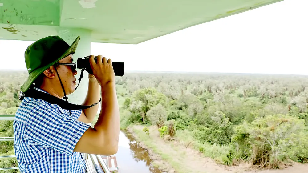 Đồng bằng sông Cửu Long: Sẵn sàng phòng chống cháy rừng  ảnh 1