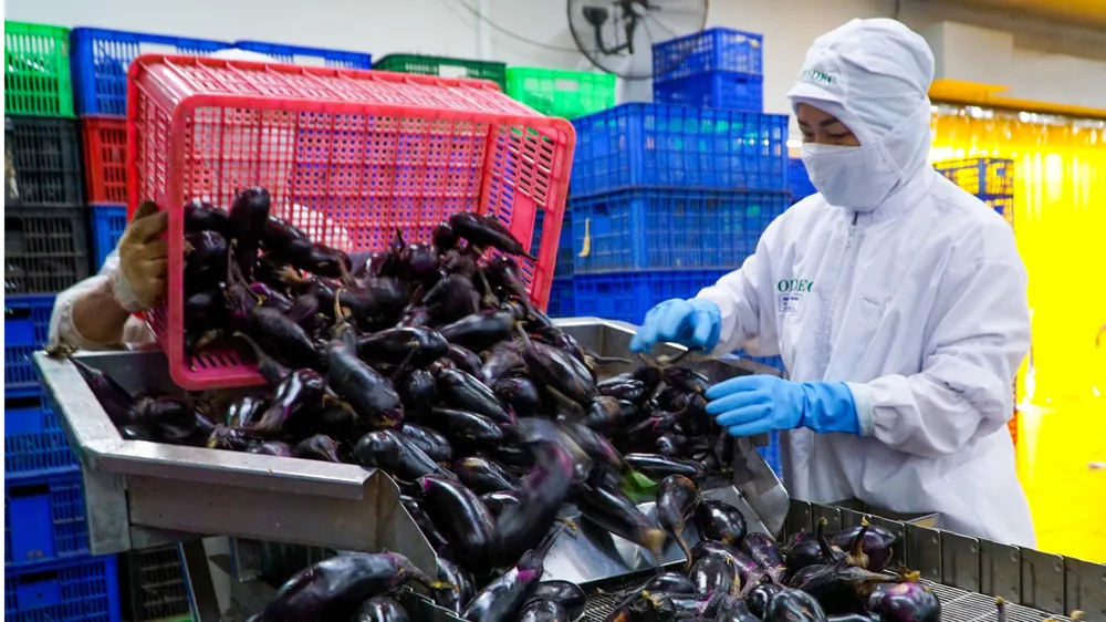 Rào cản kỹ thuật “bủa vây” hàng xuất khẩu  ảnh 1