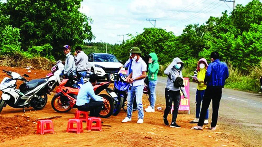 “Sốt đất” sau đề xuất xây cầu Mã Đà (Bình Phước): Xử lý nghiêm vi phạm trong sử dụng đất đai