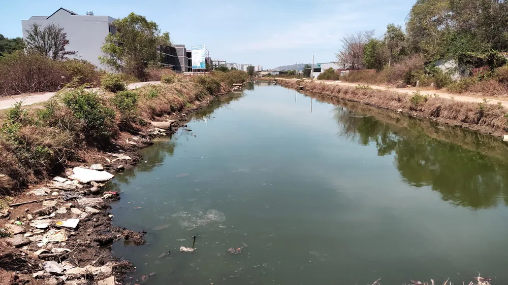 Cần nhanh chóng xử lý ô nhiễm  trên kênh thoát nước chính của TP Vũng Tàu