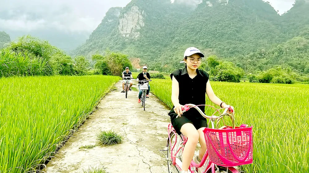 Giải bài toán nhân lực ngành du lịch ảnh 1