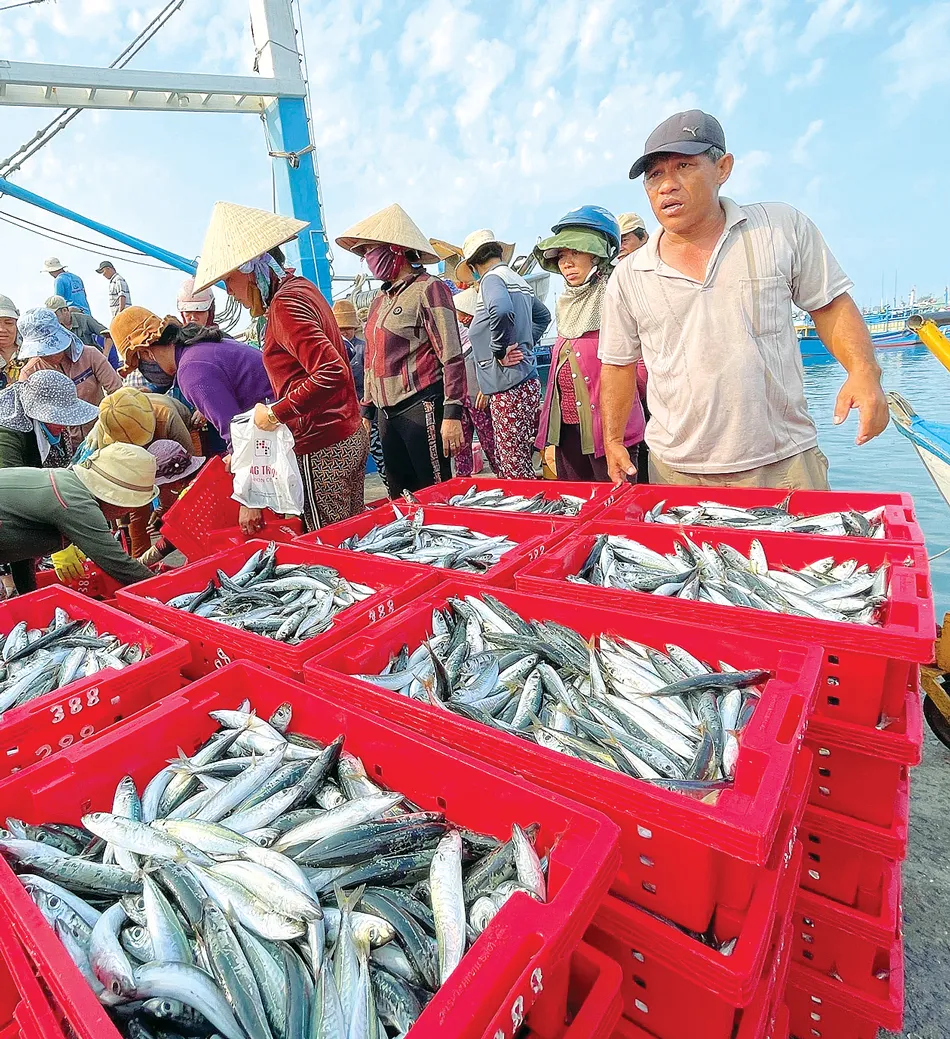 Rộng cửa cho hàng thủy sản  ảnh 2