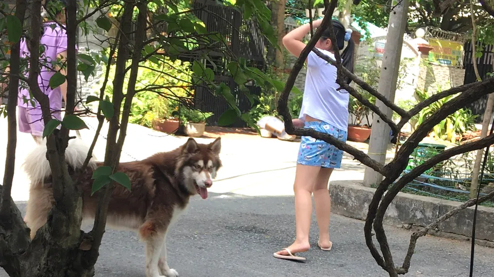 Xử lý nghiêm những người thiếu ý thức cộng đồng ảnh 1