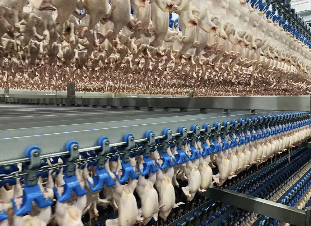 CPV Food Bình Phước chính thức xuất khẩu thịt gà chế biến sang Nhật Bản ảnh 3