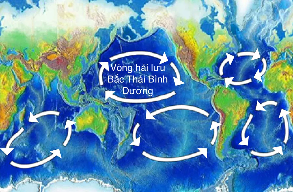 Ảnh minh họa vòng hải lưu Bắc Thái Bình Dương