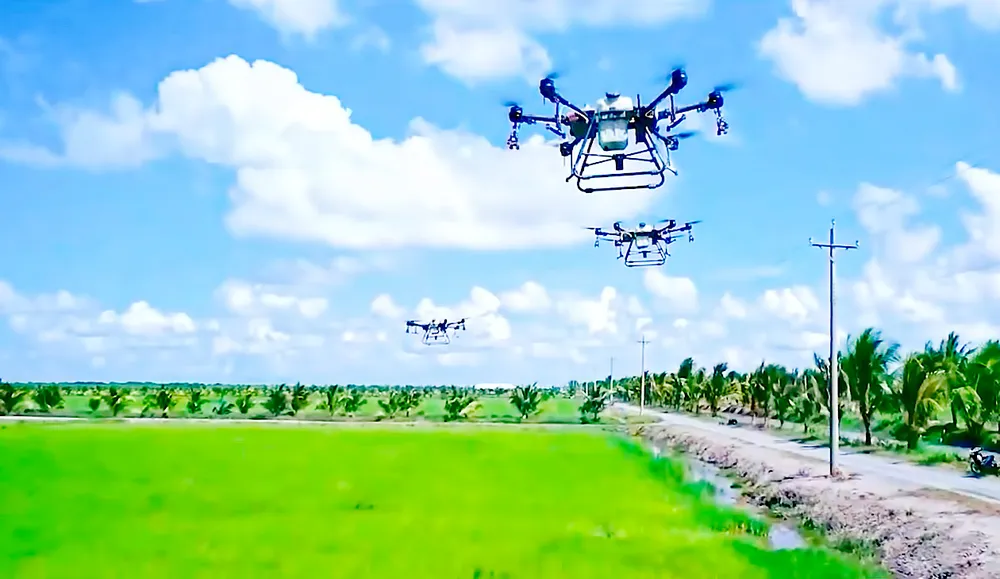 Sử dụng “máy bay nông nghiệp” để tưới phân trên ruộng lúa được sản xuất theo mô hình CĐL tại ĐBSCL. Ảnh: TUẤN QUANG