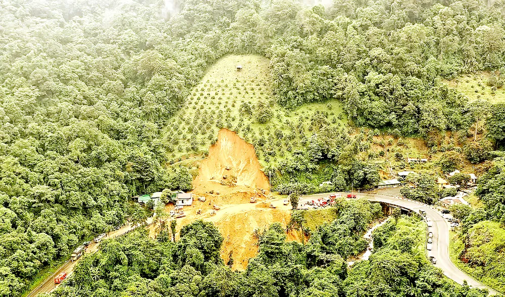 Khu vực bị sạt lở là vườn sầu riêng trên đèo Bảo Lộc (tỉnh Lâm Đồng). Ảnh: ĐOÀN KIÊN