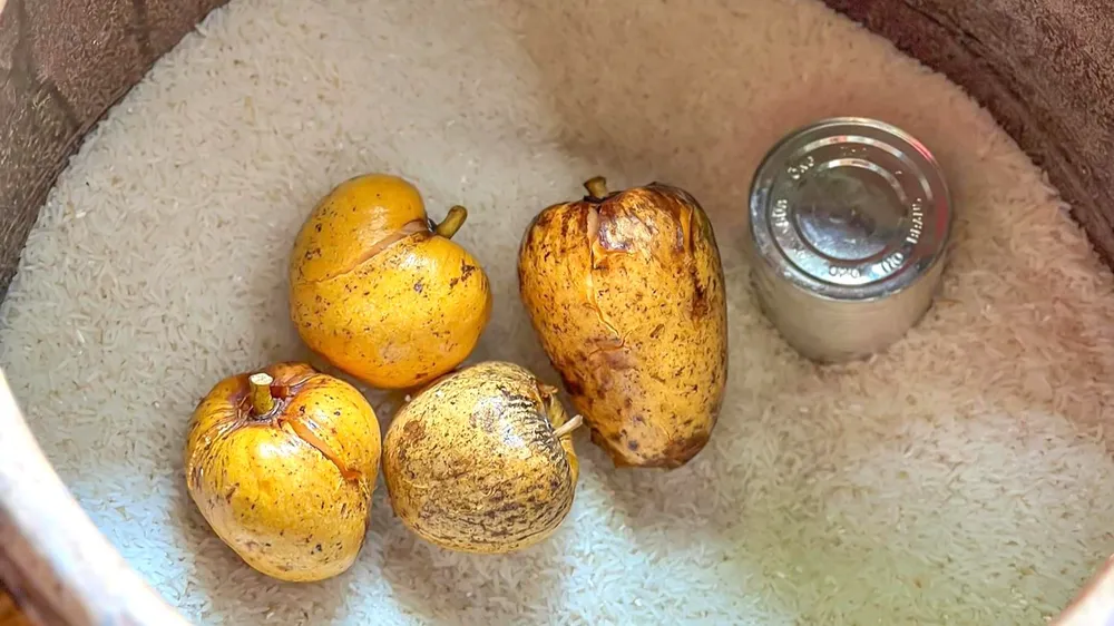 Bình bát chín để trong khạp gạo. Ảnh: ĐỖ TÌNH