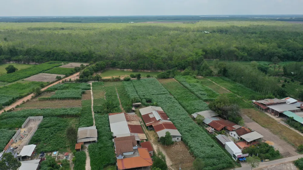 Dự án Công viên Sài Gòn Safari nằm giáp ranh xã An Nhơn Tây và xã Phú Mỹ Hưng. Ảnh: HOÀNG HÙNG Dự án Công viên Sài Gòn Safari nằm giáp ranh xã An Nhơn Tây và xã Phú Mỹ Hưng. Ảnh: HOÀNG HÙNG