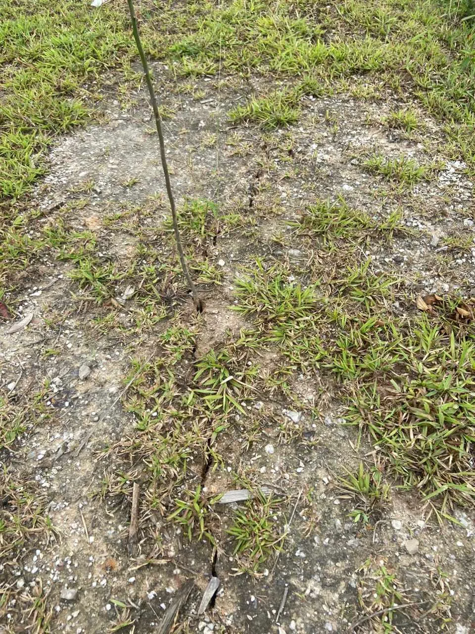 1221e66e-f93f-41a6-88b3-bb293a05ac79 (2).jpg