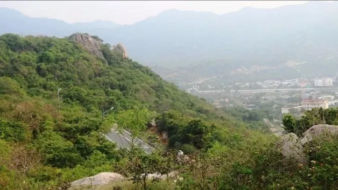 Vụ chuyển hơn 11ha đất rừng làm Khu nghỉ dưỡng cao cấp Vĩnh Hy (Ninh Thuận): Chưa thể chuyển đổi do chưa hoàn thiện báo cáo ĐTM