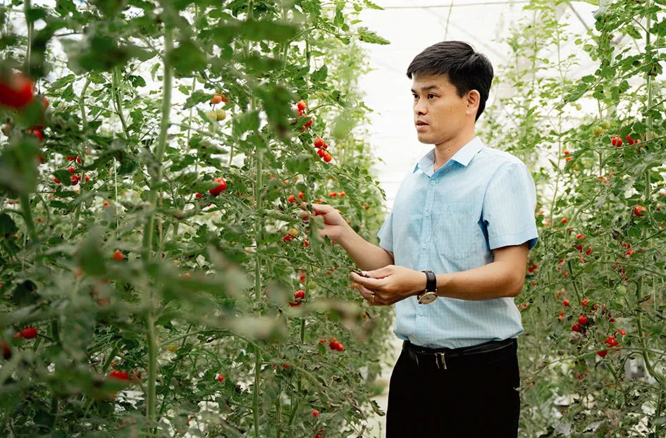 Anh Nguyễn Hoàng Duy Lưu.jpg