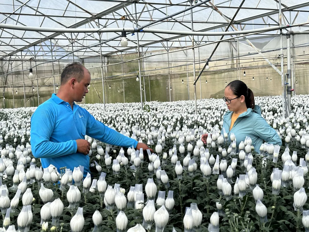 Được sự hỗ trợ của Nhà nước, anh Touneh Thức (xã Lạc Xuân, huyện Đơn Dương, tỉnh Lâm Đồng) đã mạnh dạn đầu tư làm nông nghiệp công nghệ cao. Ảnh: ĐOÀN KIÊN