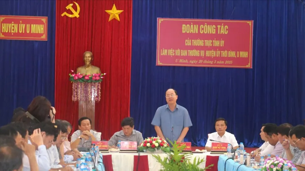 Bí thư Tỉnh uỷ Cà Mau Nguyễn Hồ Hải phát biểu tại buổi làm việc