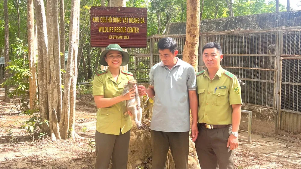 Bàn giao cá thể khỉ đuôi dài để bảo tồn