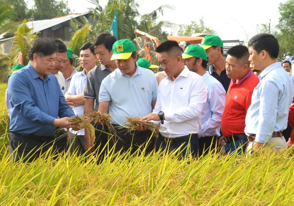Giám đốc Trung tâm Khuyến nông Quốc gia Lê Quốc Thanh (thứ 2 từ trái qua) và Phó Tổng Giám đốc Công ty CP Phân bón Bình Điền Phan Văn Tâm (thứ 3 từ phải qua) cùng các đại biểu tham quan, đánh giá ruộng canh tác lúa giảm phát thải thuộc dự án Khuyến nông Trung ương triển khai tại Hợp tác xã Nông nghiệp Vinacam Hòn Đất. Ảnh: Tam Phan