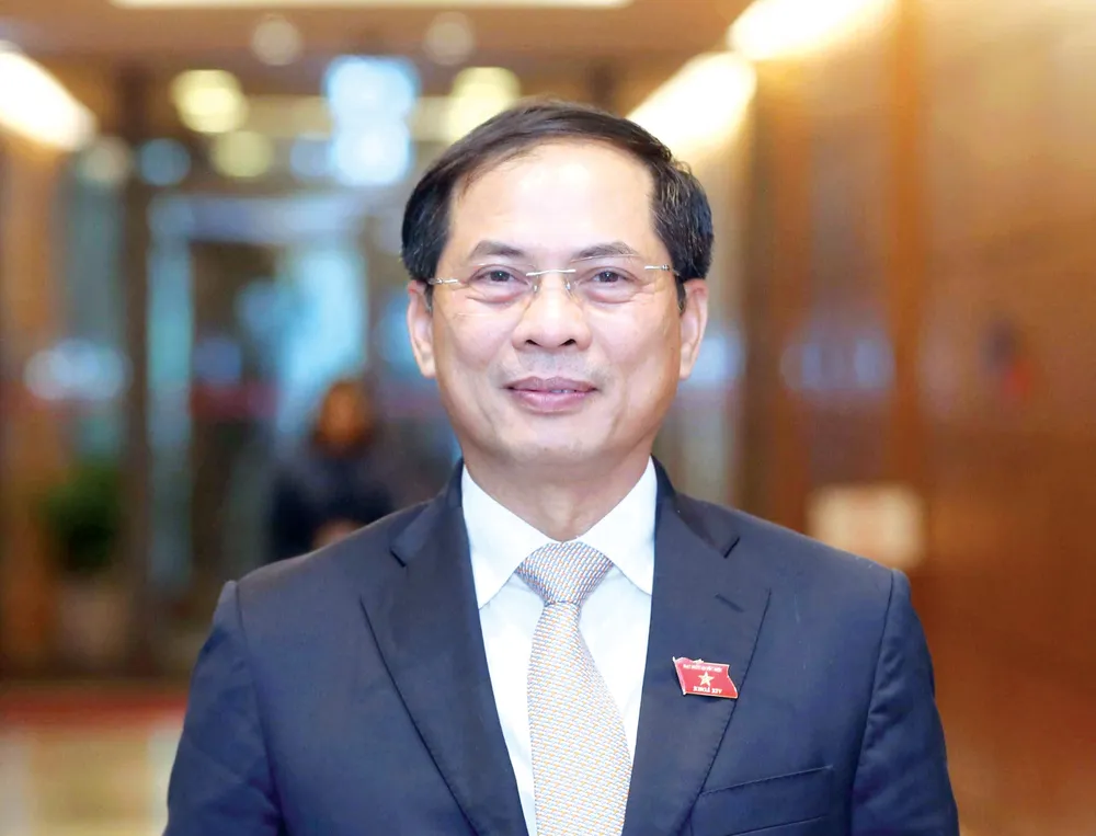 Bui Thanh Son 2.jpg