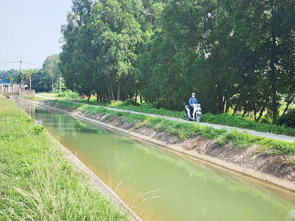 Kênh Đông dẫn nước từ hồ Dầu Tiếng về tưới cho hàng ngàn hécta lúa, cây trái ở huyện Củ Chi, TPHCM