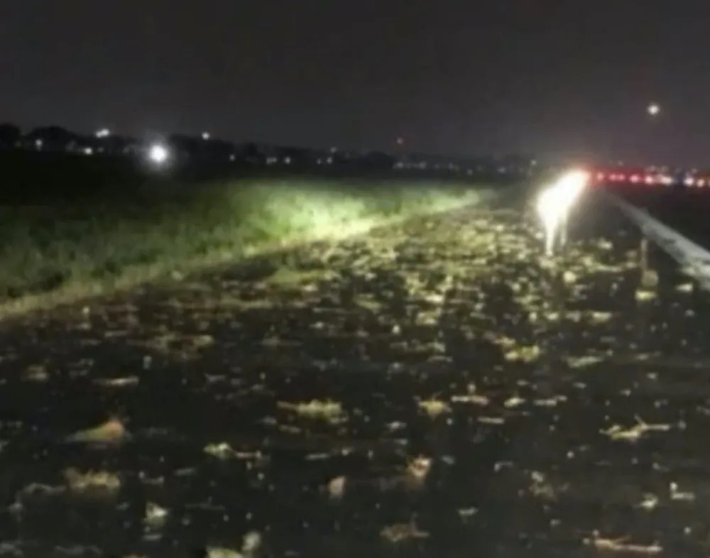 Hiện trường xảy ra sự cố