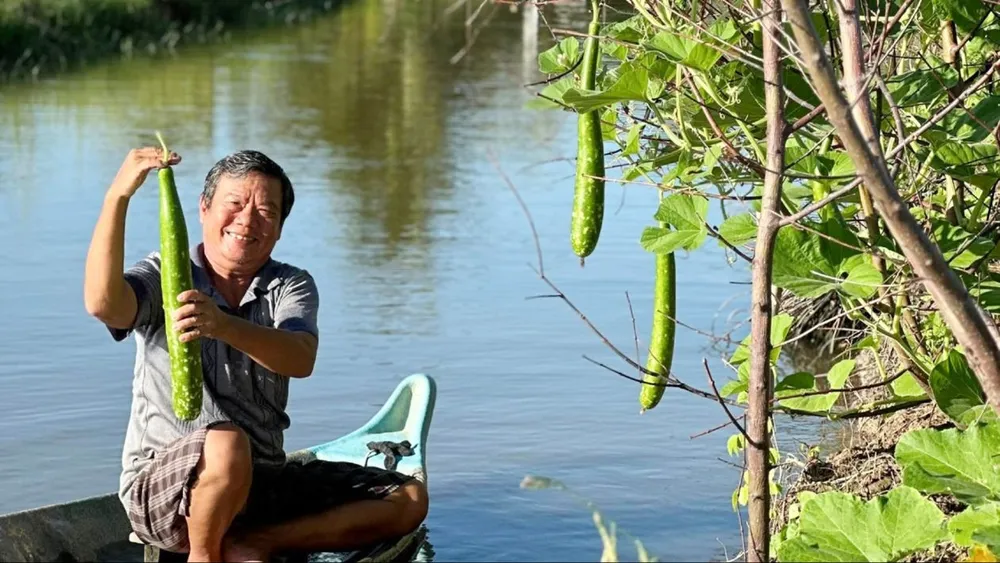 Rau trái mùa hè. Ảnh: ĐỖ TÌNH