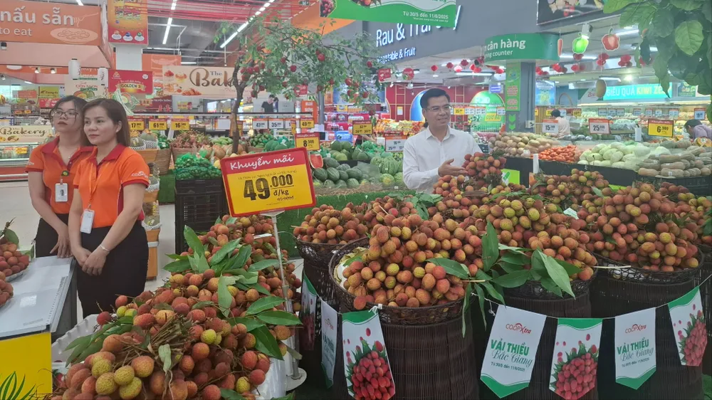 Saigon Co.op ký kết tiêu thụ vải thiều Bắc Giang vụ mùa 2025