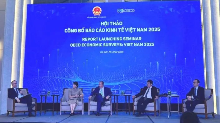 Hội thảo công bố Báo cáo Kinh tế Việt Nam 2025 do OECD thực hiện, chiều 20-6.