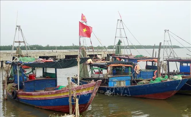Tàu thuyền neo đậu tại khu vực Trạm kiểm soát biên phòng cửa đáy thuộc Đồn biên phòng Kim Sơn, tỉnh Ninh Bình. Ảnh tư liệu: TTXVN