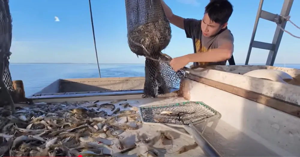 Người Việt đánh bắt tôm ở biển bang Louisiana