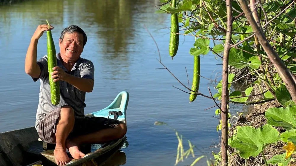 Giàn bầu quanh nhà xanh mướt nhờ bàn tay vun trồng của tía. Ảnh: ĐỖ TÌNH