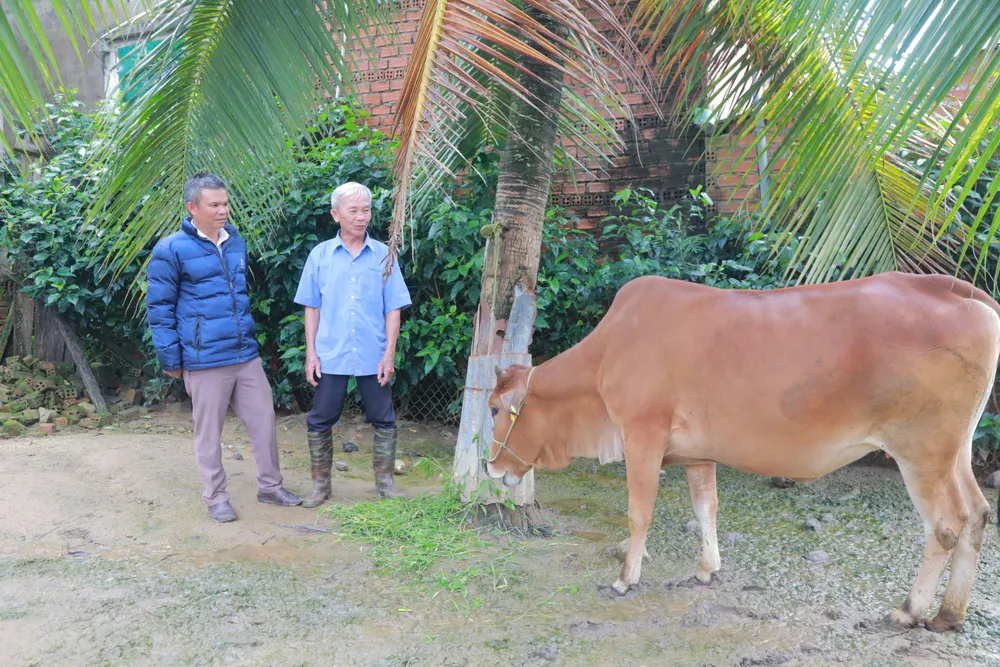 Cán bộ phòng Kinh tế xã Ea KNuốp (bên trái) thăm các hộ dân được hỗ trợ bò sinh sản.jpg