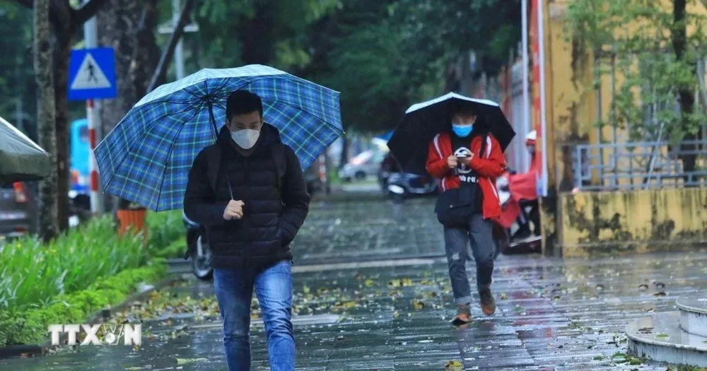 Tại Hà Nội ngày 31-1 có mưa, mưa nhỏ rải rác; đêm có mưa vài nơi, trời chuyển rét, nhiệt độ thấp nhất 13-15 độ C. Ảnh: TTXVN 