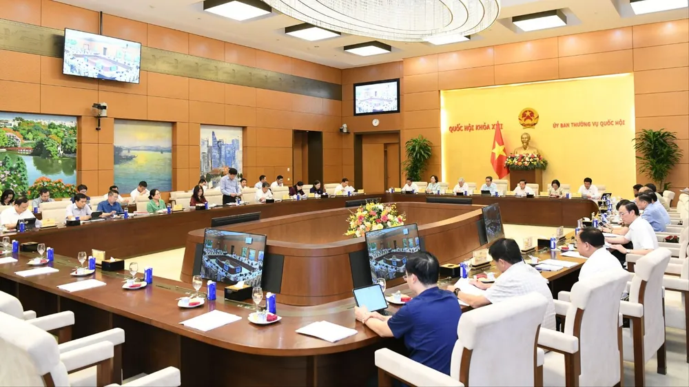 6 - mẫn toàn cảnh.jpg