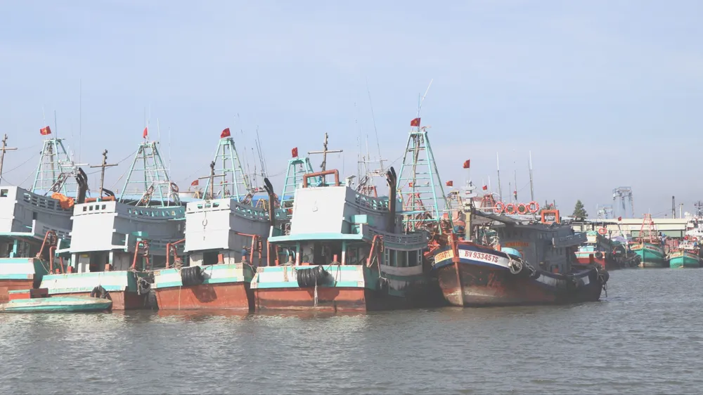 Kiểm soát chặt hoạt động khai thác trên biển là một trong những nhiệm vụ trọng tâm của TPHCM trong tháng cao điểm chống khai thác IUU, hướng tới khắc phục đầy đủ các khuyến nghị của EC