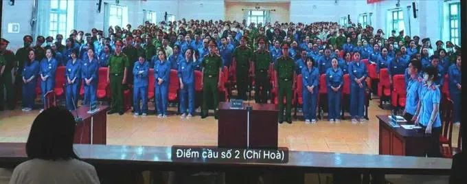 Tromg chuyên án VN10, nhiều trường hợp mẹ con hầu tòa 
