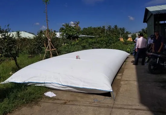 Hạn mặn hoành hành ĐBSCL ảnh 1