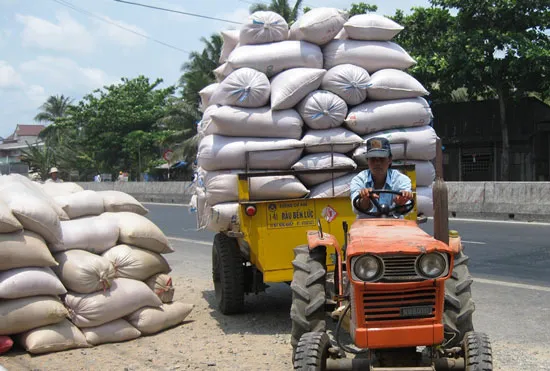 Linh hoạt, minh bạch hạn ngạch xuất khẩu gạo ảnh 1