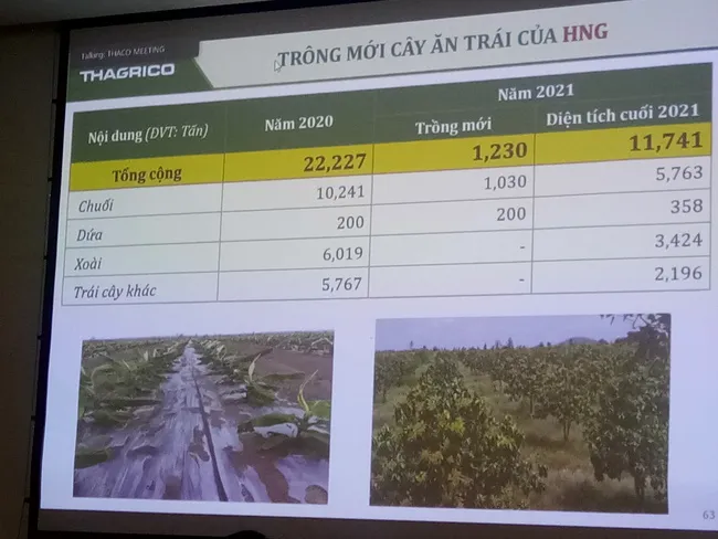 Thaco chi gần 3.700 tỷ đồng vào HNG trong năm 2021 ảnh 1