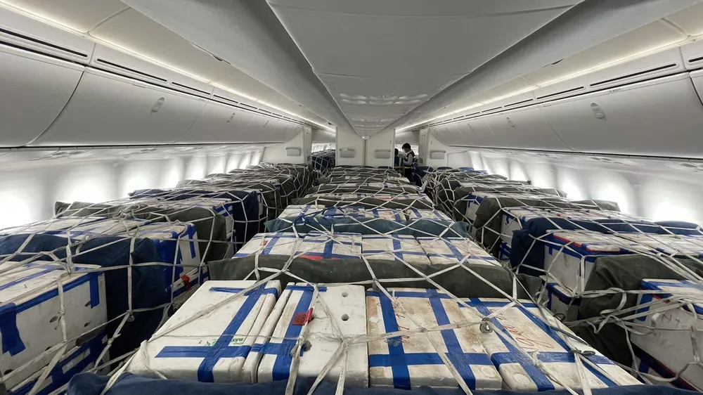 Bố trí riêng một 'siêu máy bay' chở vải thiều Bắc Giang vào TPHCM ảnh 1