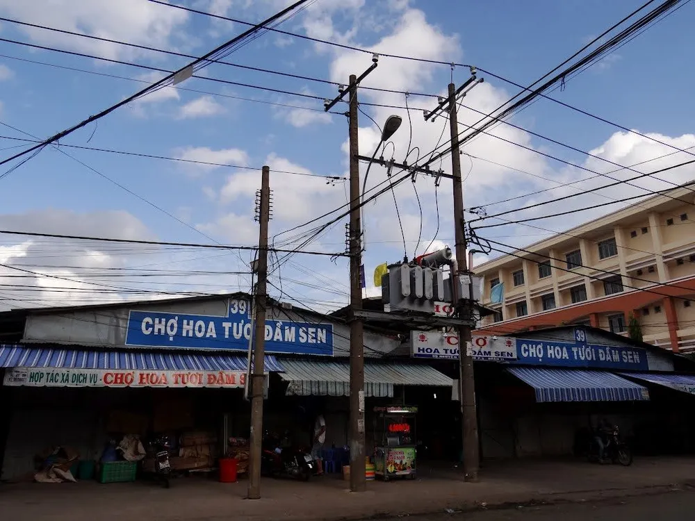 TPHCM mở cửa chợ hoa Đầm Sen 3 ngày để tiêu thụ hoa Đà Lạt ảnh 2