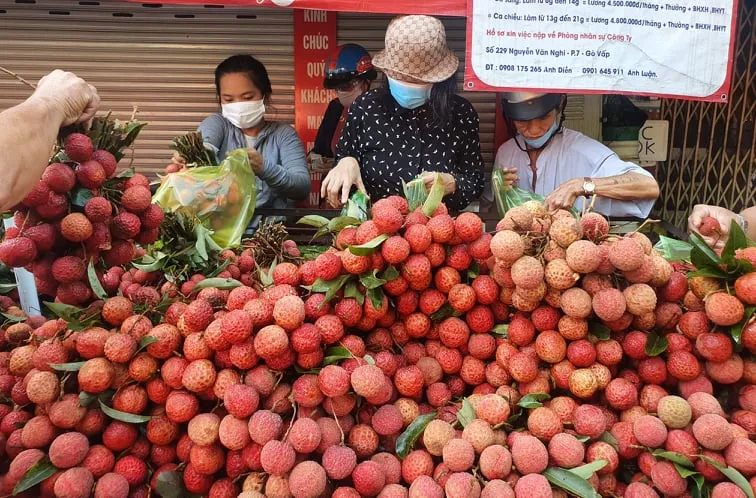 Hàng ngàn tấn thực phẩm về chợ Tết Đoan ngọ, hoa tươi, bánh ú tăng giá mạnh vẫn cháy hàng ảnh 1